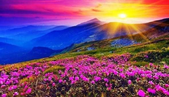 Valley of Flowers destination