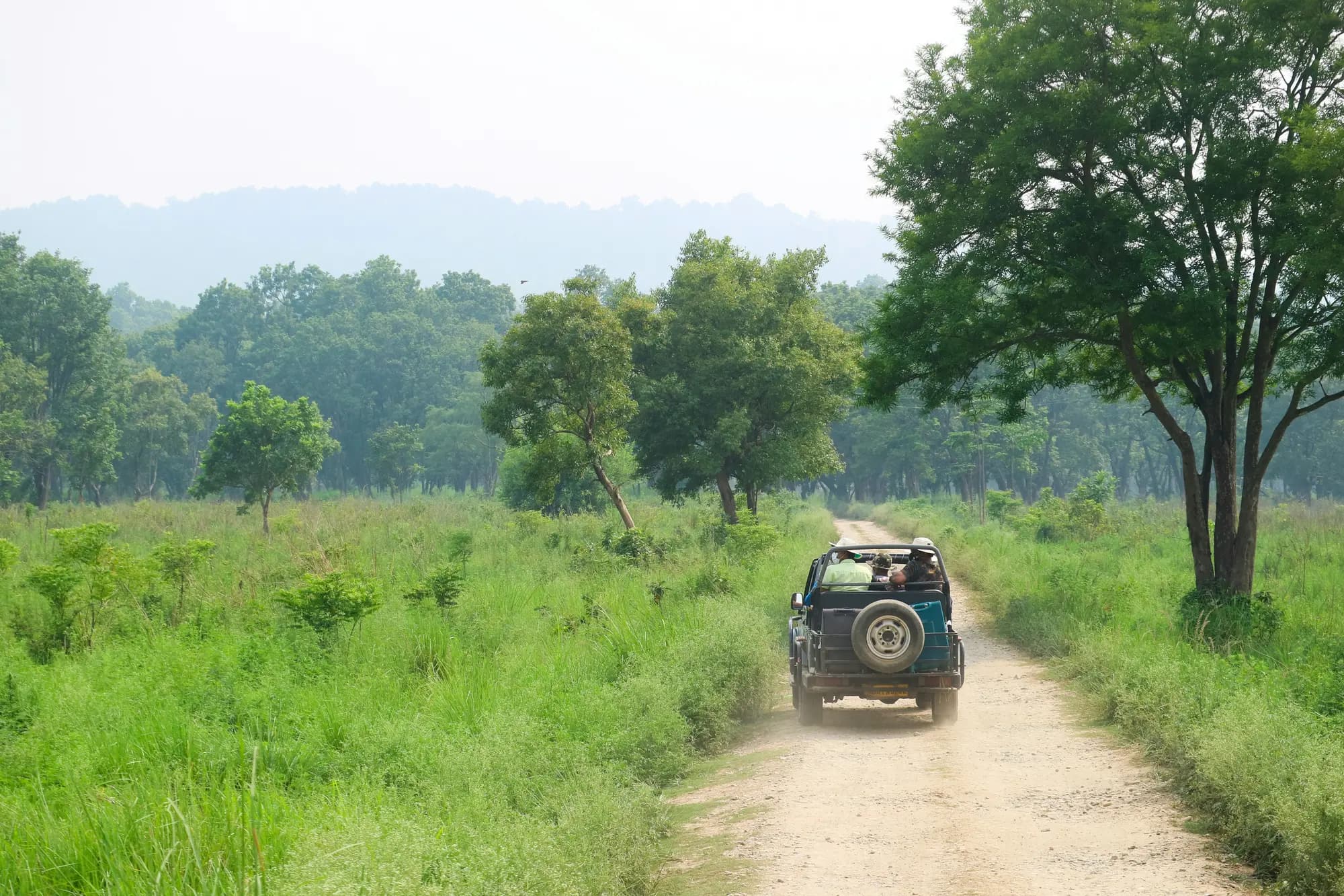 Bijrani Zone wildlife visual