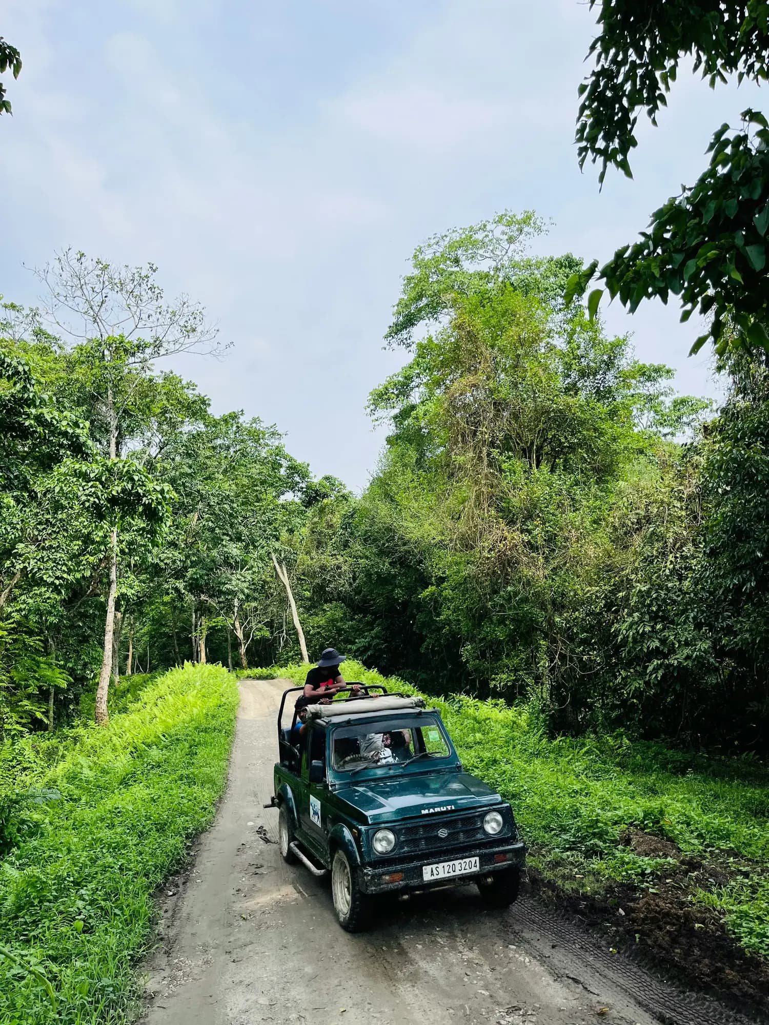 Dhela Zone wildlife visual