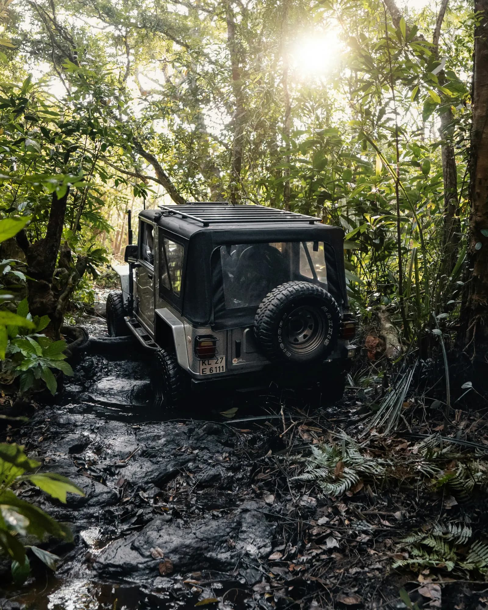 Sitabani Zone wildlife visual