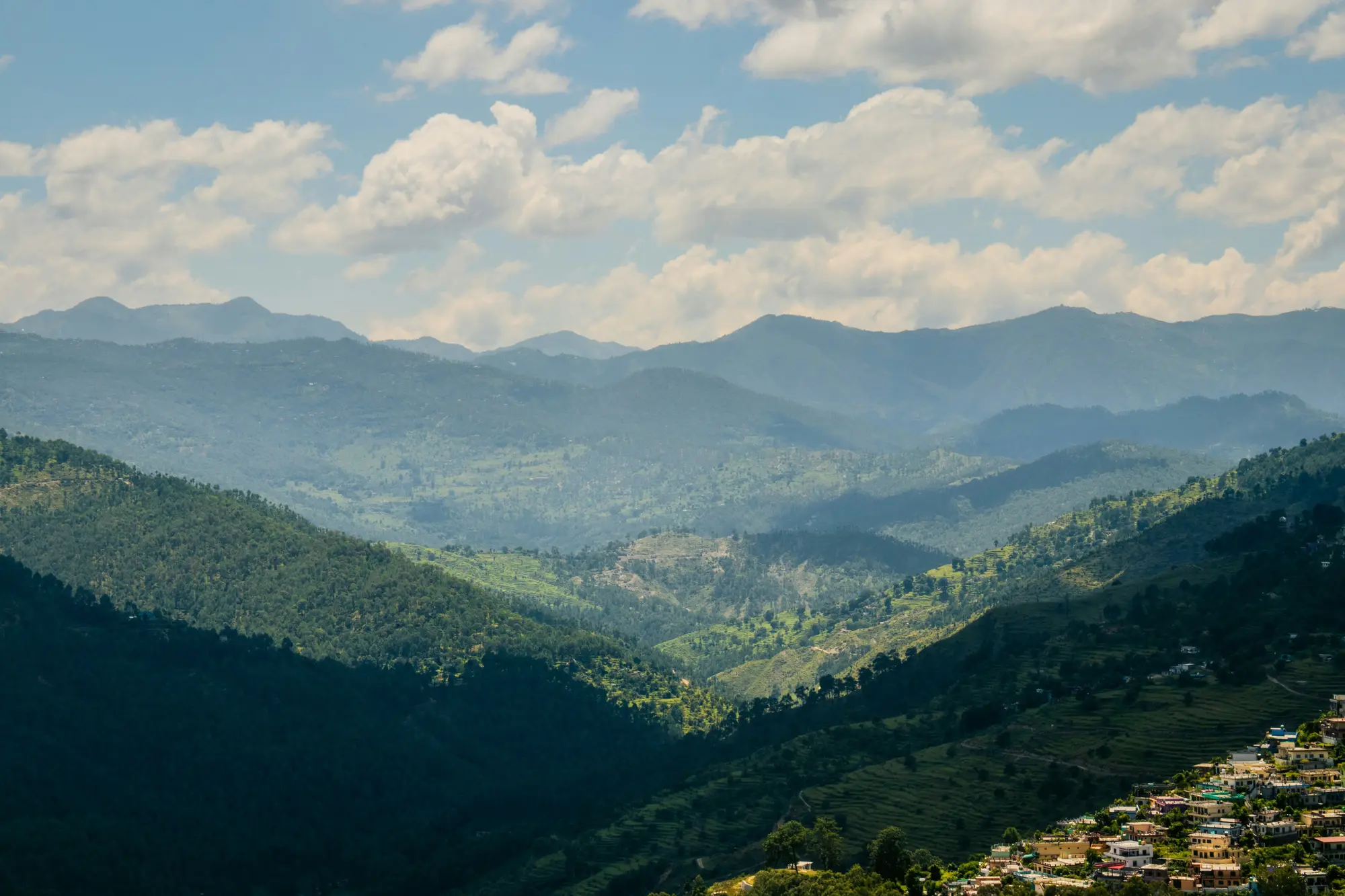 Almora hill views and forest landscape
