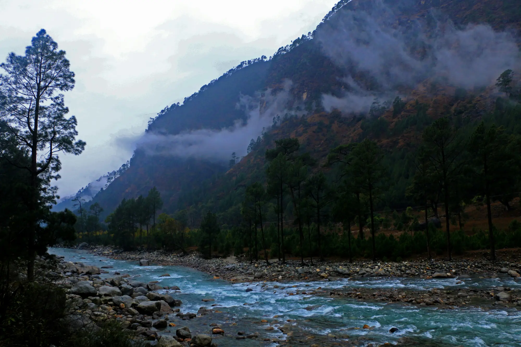 Dehradun Uttarakhand destination visual
