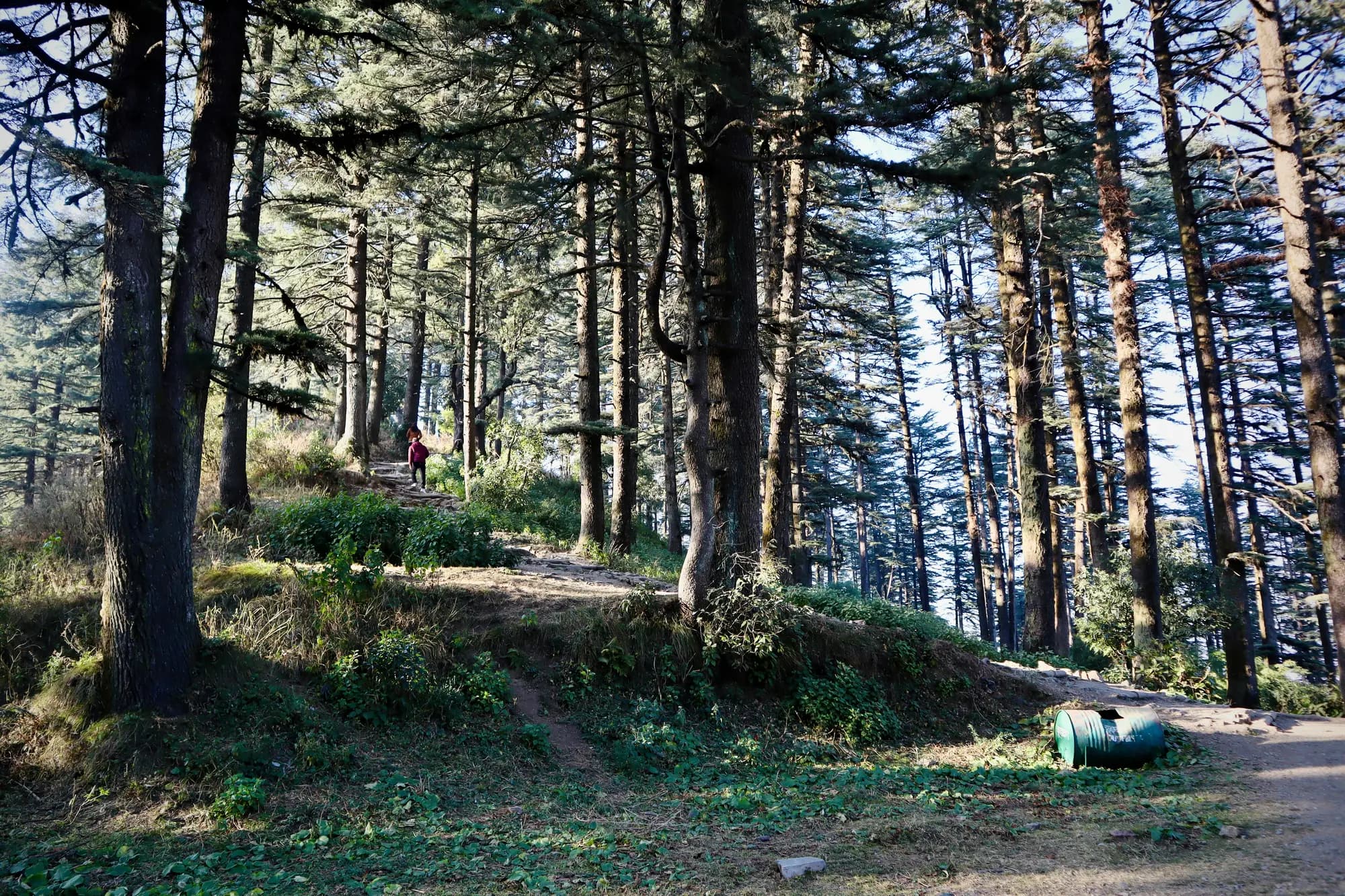 Dhanaulti destination