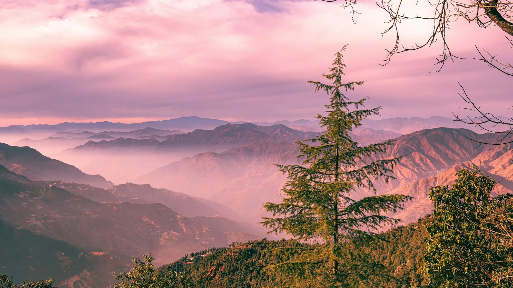 Uttarakhand Sightseeing Tours package image